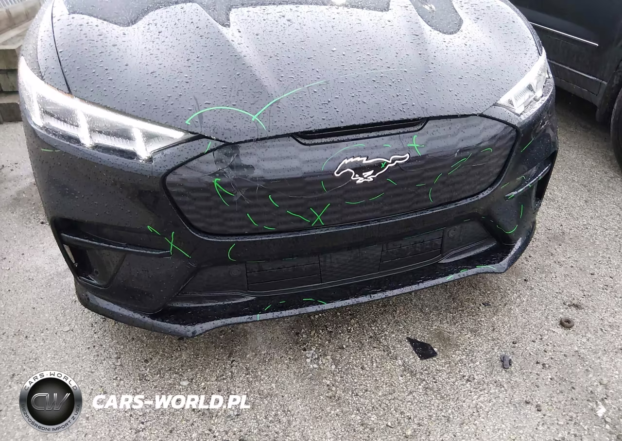 2021 Ford Mustang Mach-E Gt VIN:3FMTK4SE7MME00501 - 6