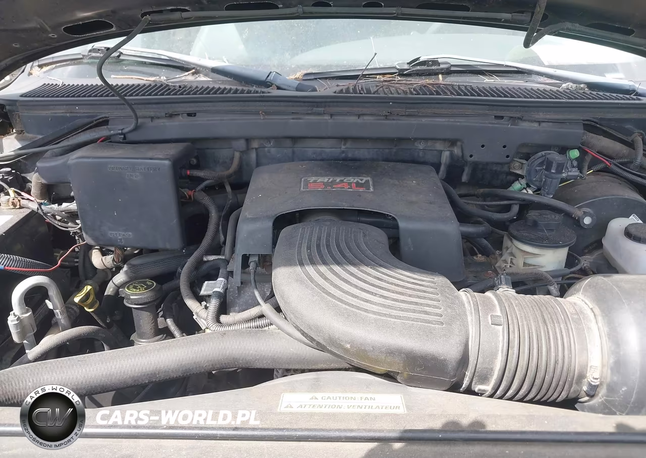 1998 Ford Expedition Eddie Bauer-Xlt VIN:1FMPU18L8WLC01106 - 10
