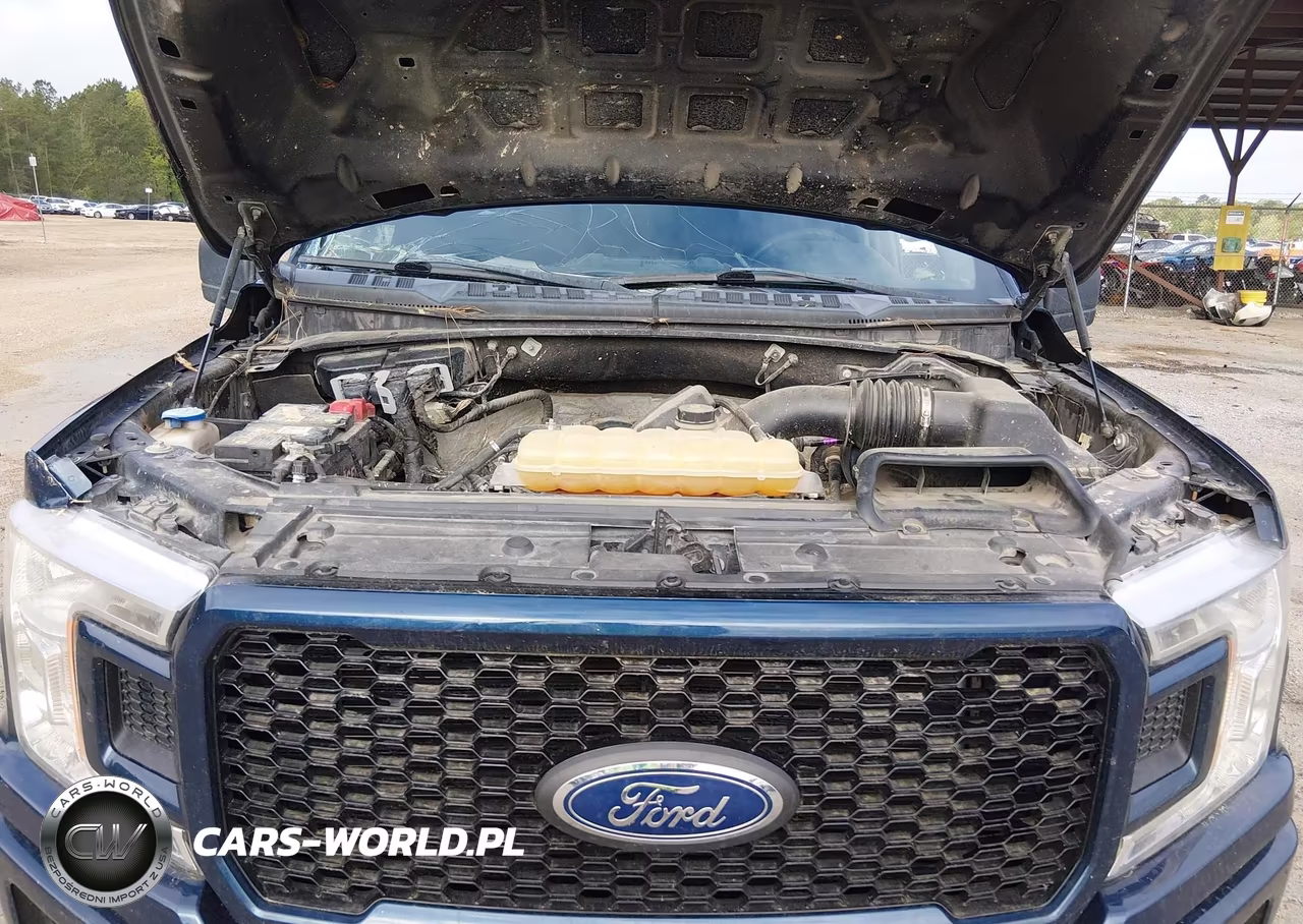 2018 Ford F-150 Xl VIN:1FTEW1E59JKF49894 - 10