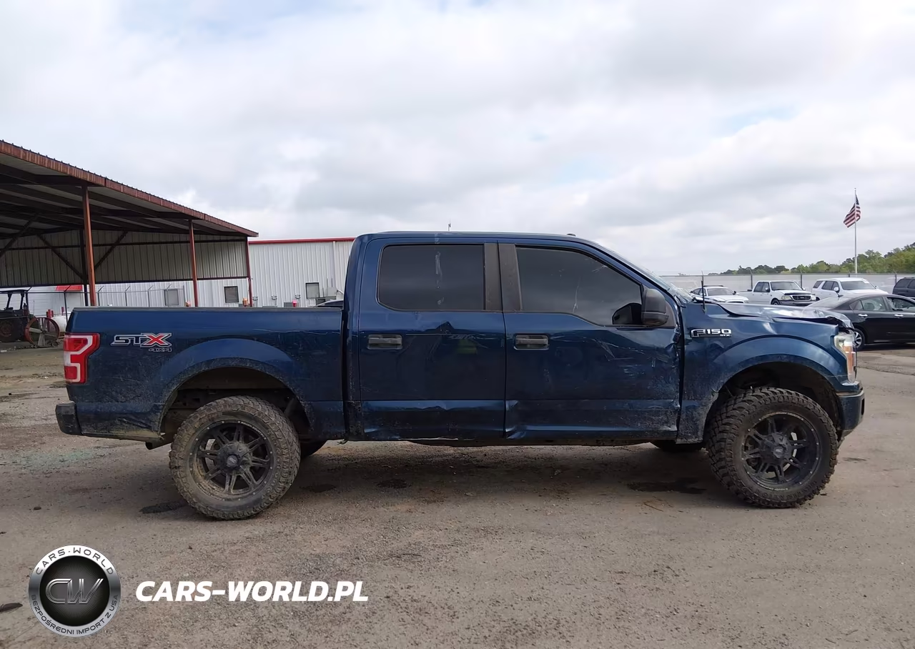 2018 Ford F-150 Xl VIN:1FTEW1E59JKF49894 - 13