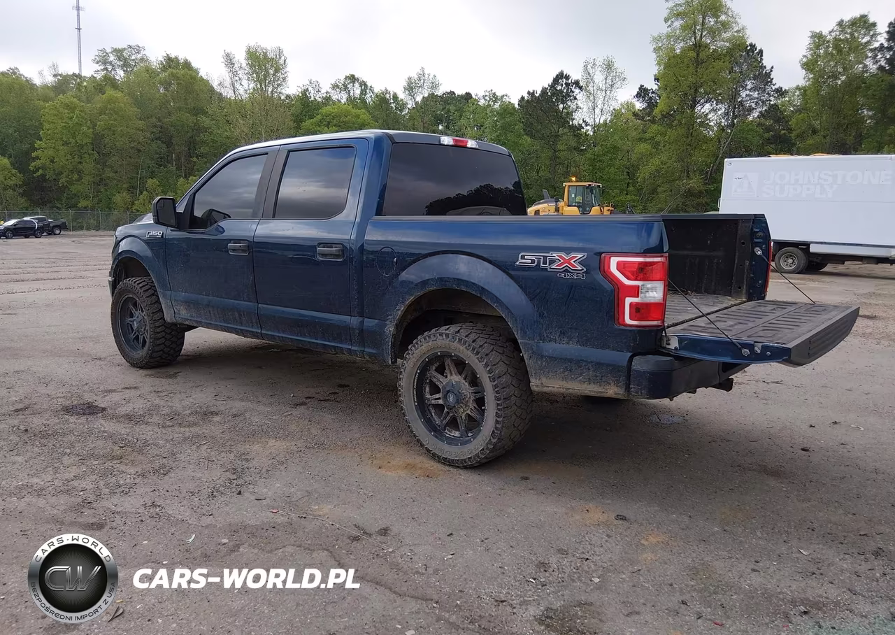 2018 Ford F-150 Xl VIN:1FTEW1E59JKF49894 - 3