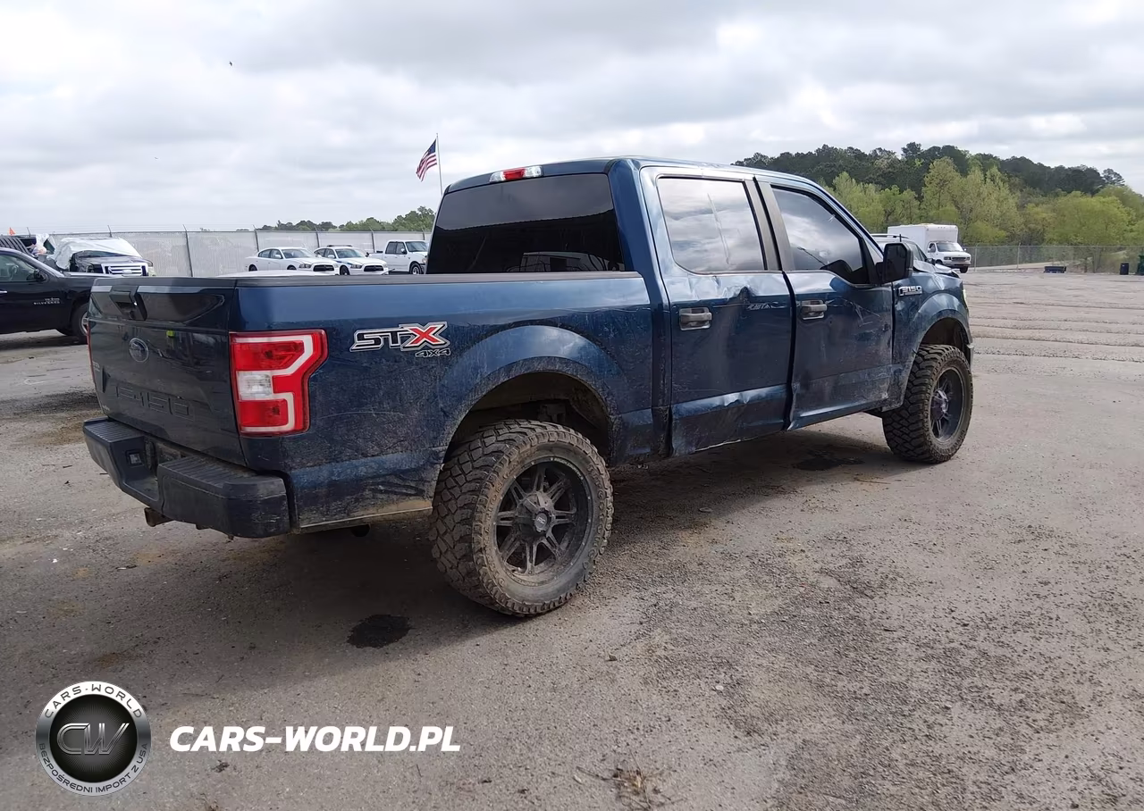 2018 Ford F-150 Xl VIN:1FTEW1E59JKF49894 - 4