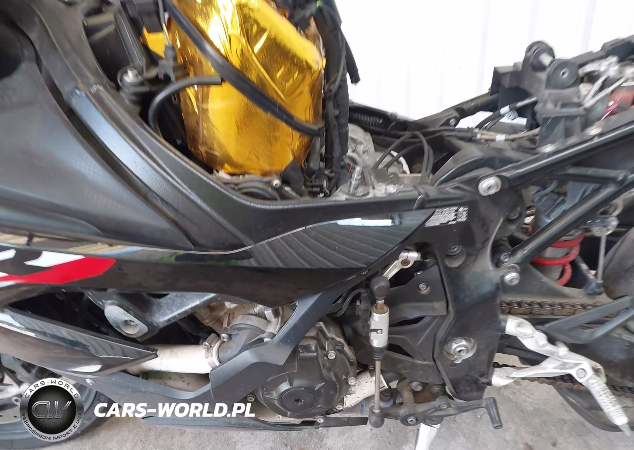 2023 BMW S 1000 Rr VIN:WB10E6302P6H11089 - 9