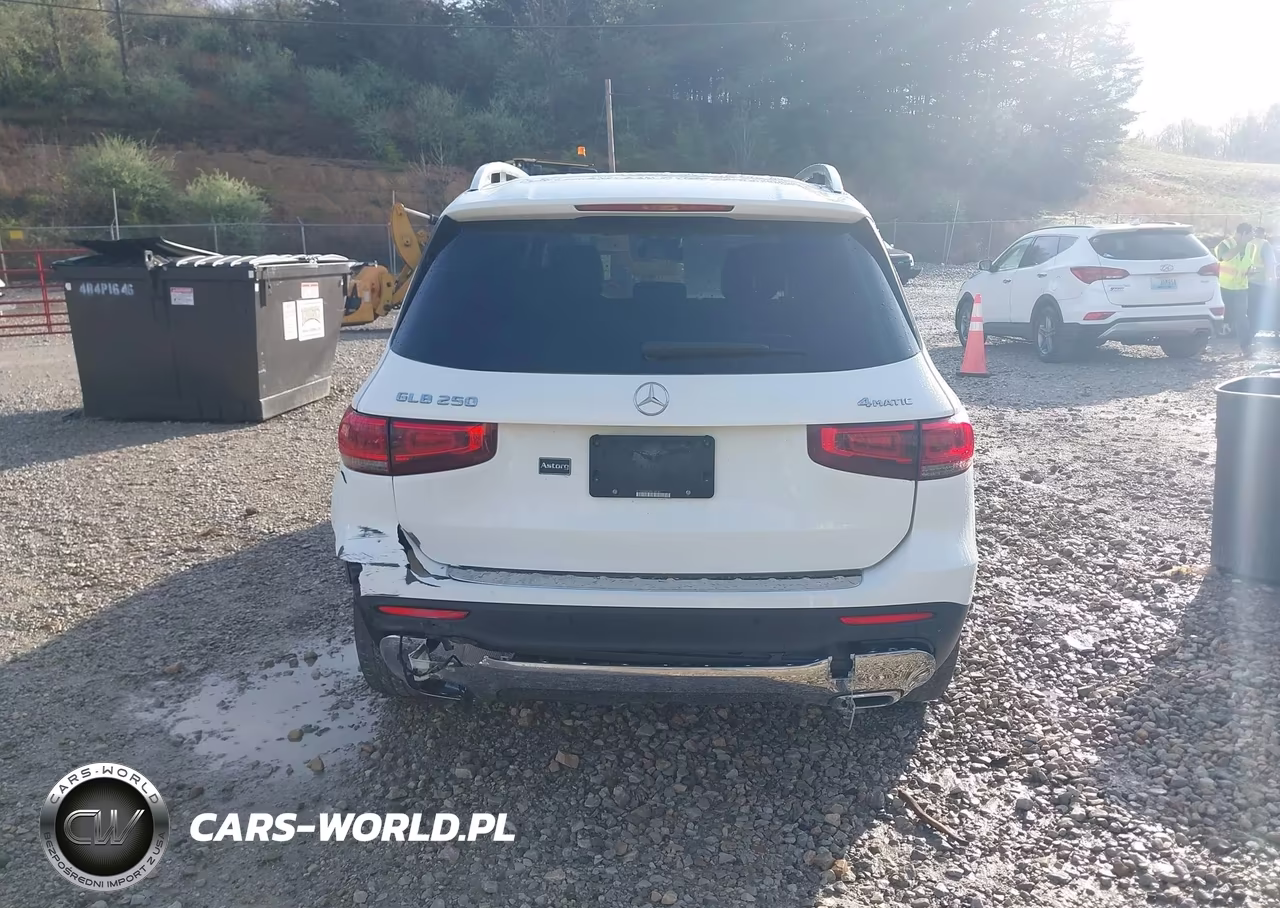 2022 Mercedes-Benz Glb 250 4Matic VIN:W1N4M4HB3NW188187 - 17