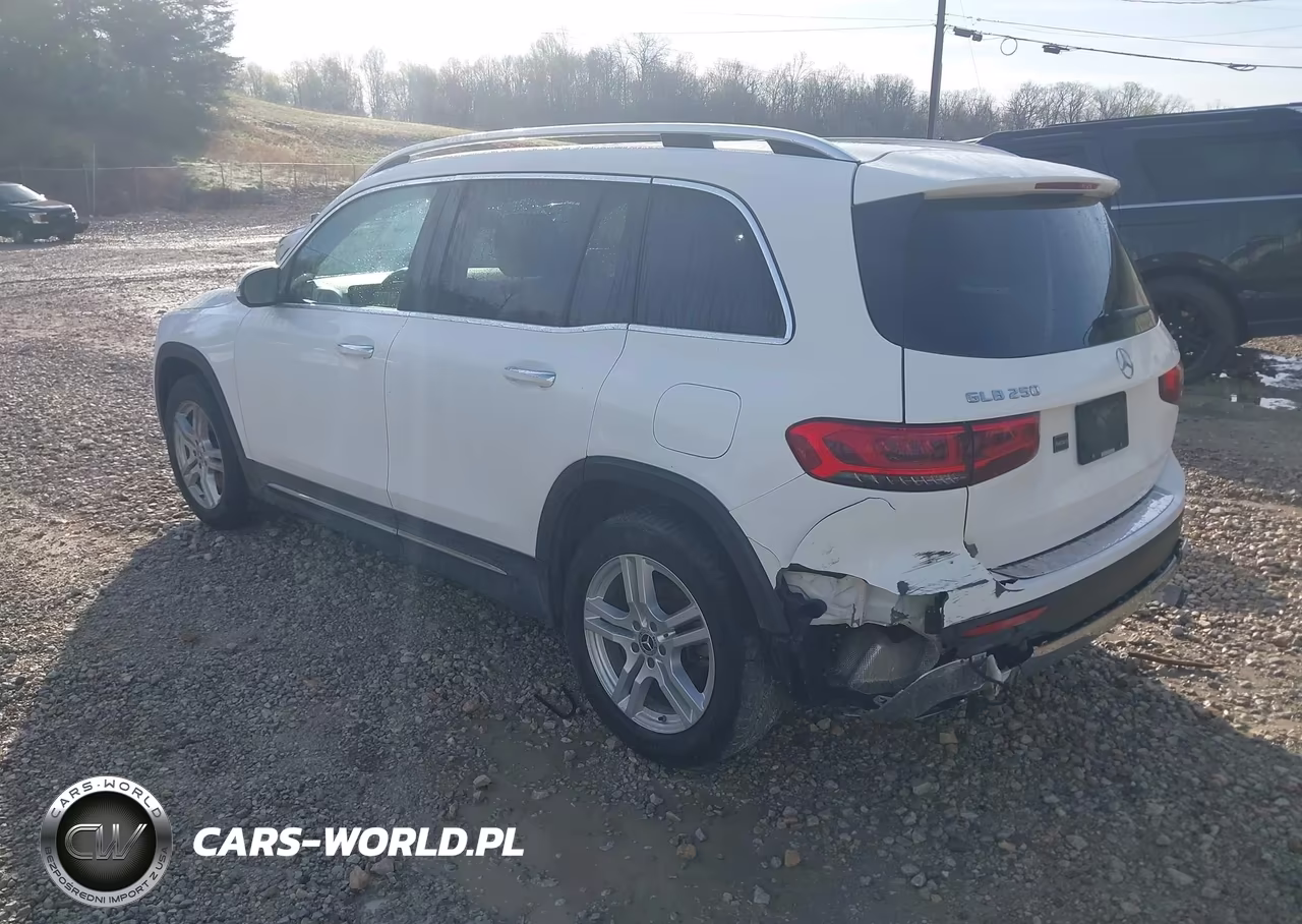 2022 Mercedes-Benz Glb 250 4Matic VIN:W1N4M4HB3NW188187 - 3