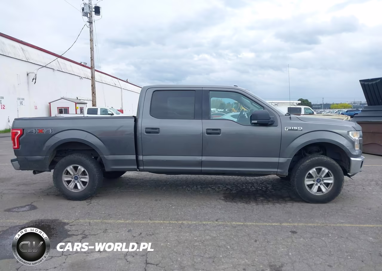 2016 Ford F-150 Xlt VIN:1FTFW1EF2GKE87664 - 13