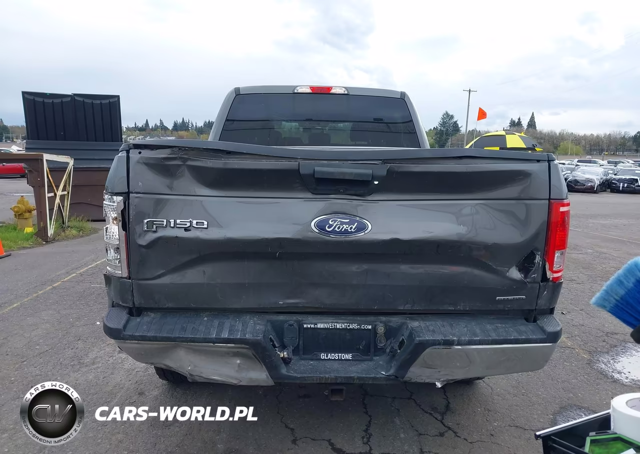 2016 Ford F-150 Xlt VIN:1FTFW1EF2GKE87664 - 16