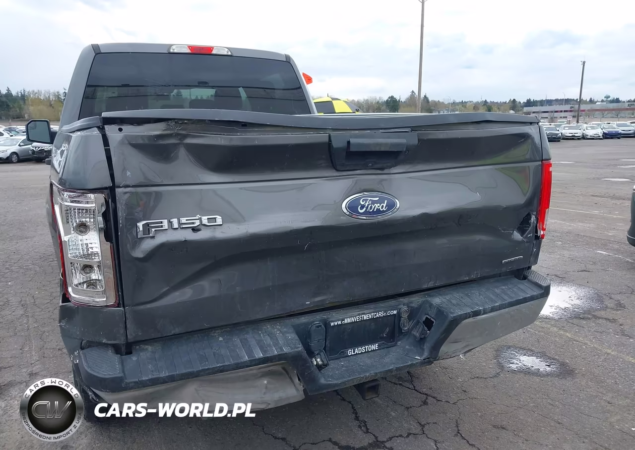 2016 Ford F-150 Xlt VIN:1FTFW1EF2GKE87664 - 17