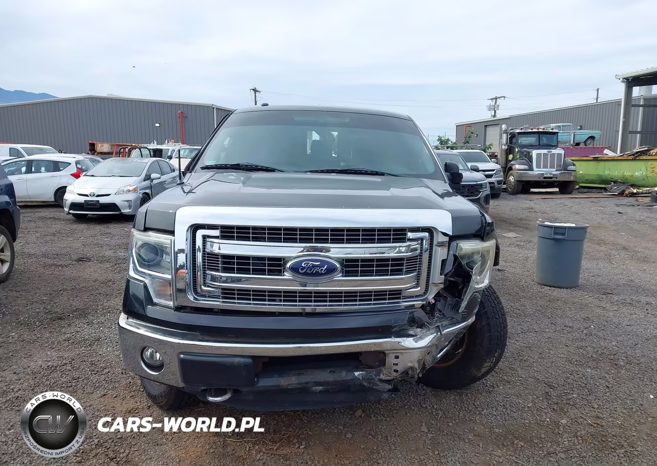 2014 Ford F-150 Xlt VIN:1FTFW1EF2EKE98144 - 12
