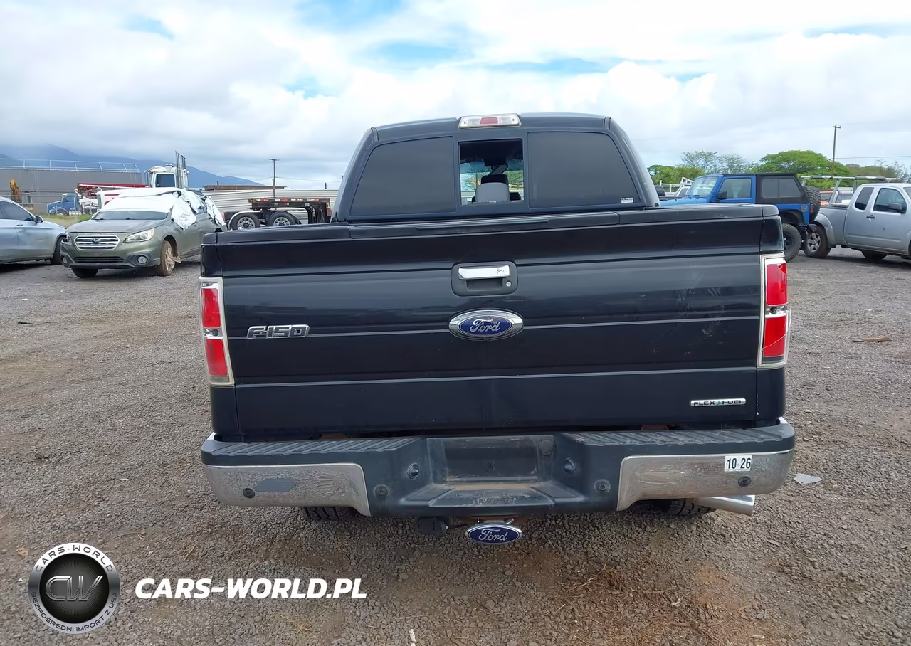 2014 Ford F-150 Xlt VIN:1FTFW1EF2EKE98144 - 16