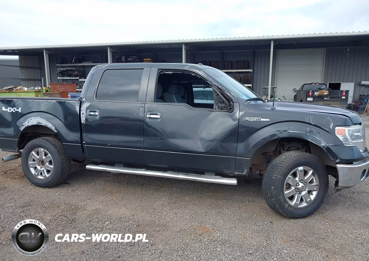 2014 Ford F-150 Xlt VIN:1FTFW1EF2EKE98144 - 17