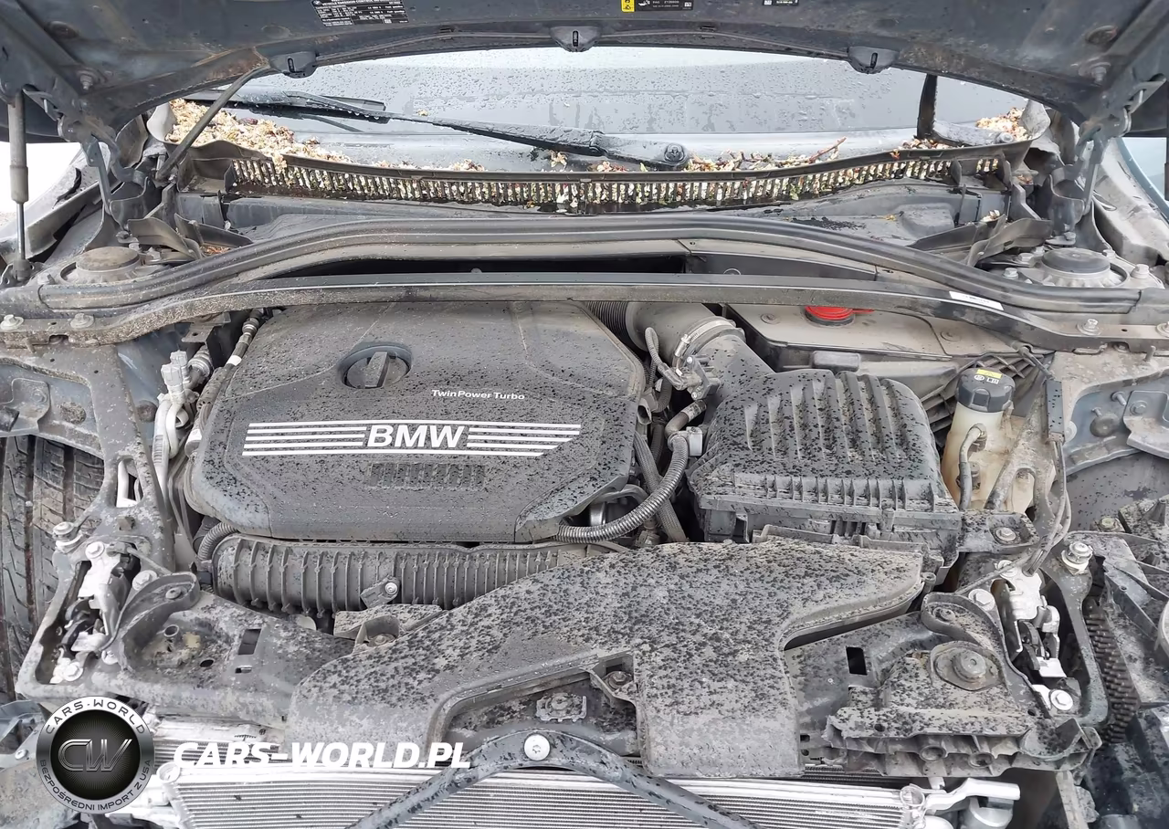 2022 BMW 228 Gran Coupe I Sdrive VIN:WBA53AK00N7K28768 - 10