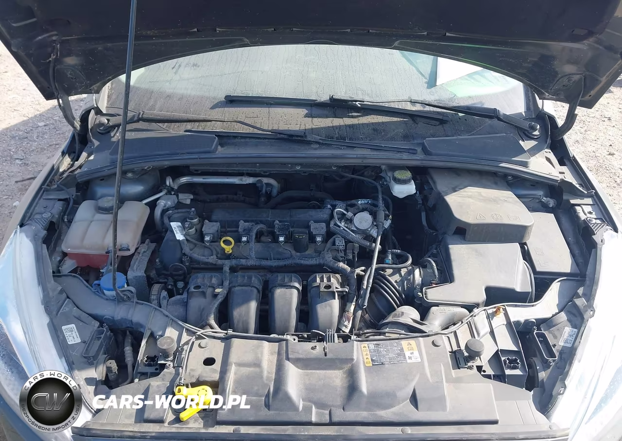2018 Ford Focus Se VIN:1FADP3F2XJL311299 - 10