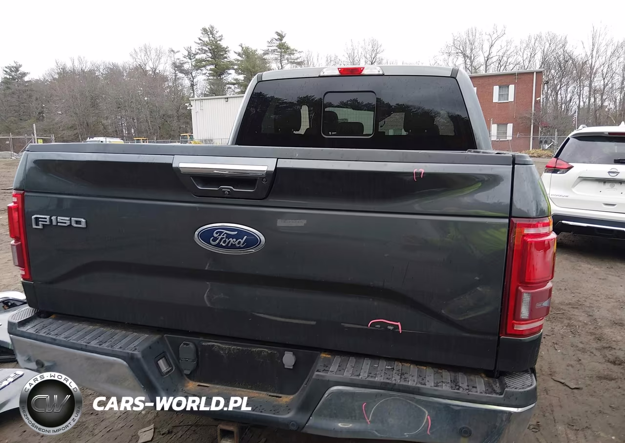 2016 Ford F-150 Lariat VIN:1FTEW1EPXGFD28467 - 17