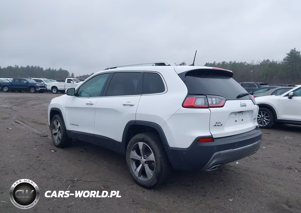 2021 Jeep Cherokee Limited 4X4 VIN:1C4PJMDX4MD212411 - 3