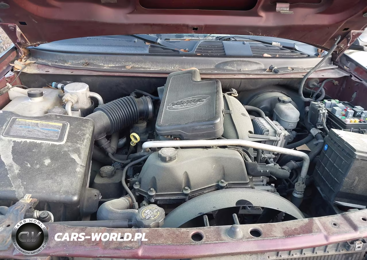 2004 Chevrolet Trailblazer Ls VIN:1GNDS13S242365084 - 10