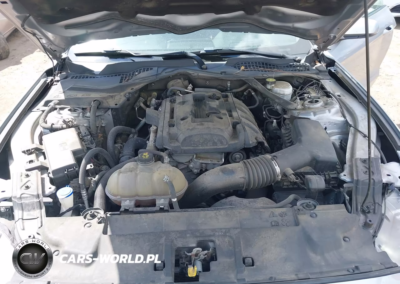 2020 Ford Mustang Ecoboost Premium VIN:1FATP8UH2L5125991 - 10