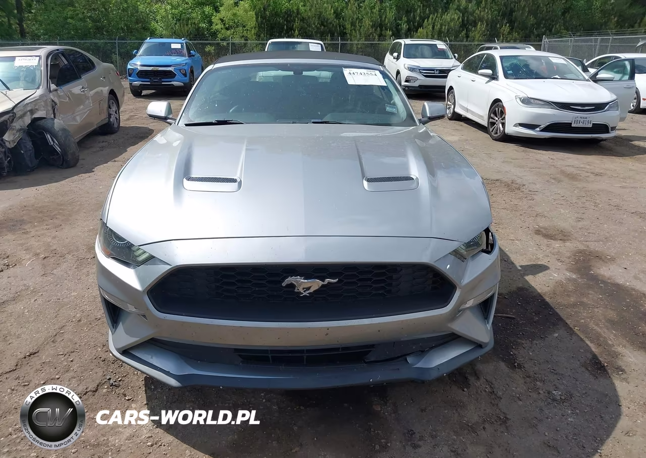 2020 Ford Mustang Ecoboost Premium VIN:1FATP8UH2L5125991 - 12
