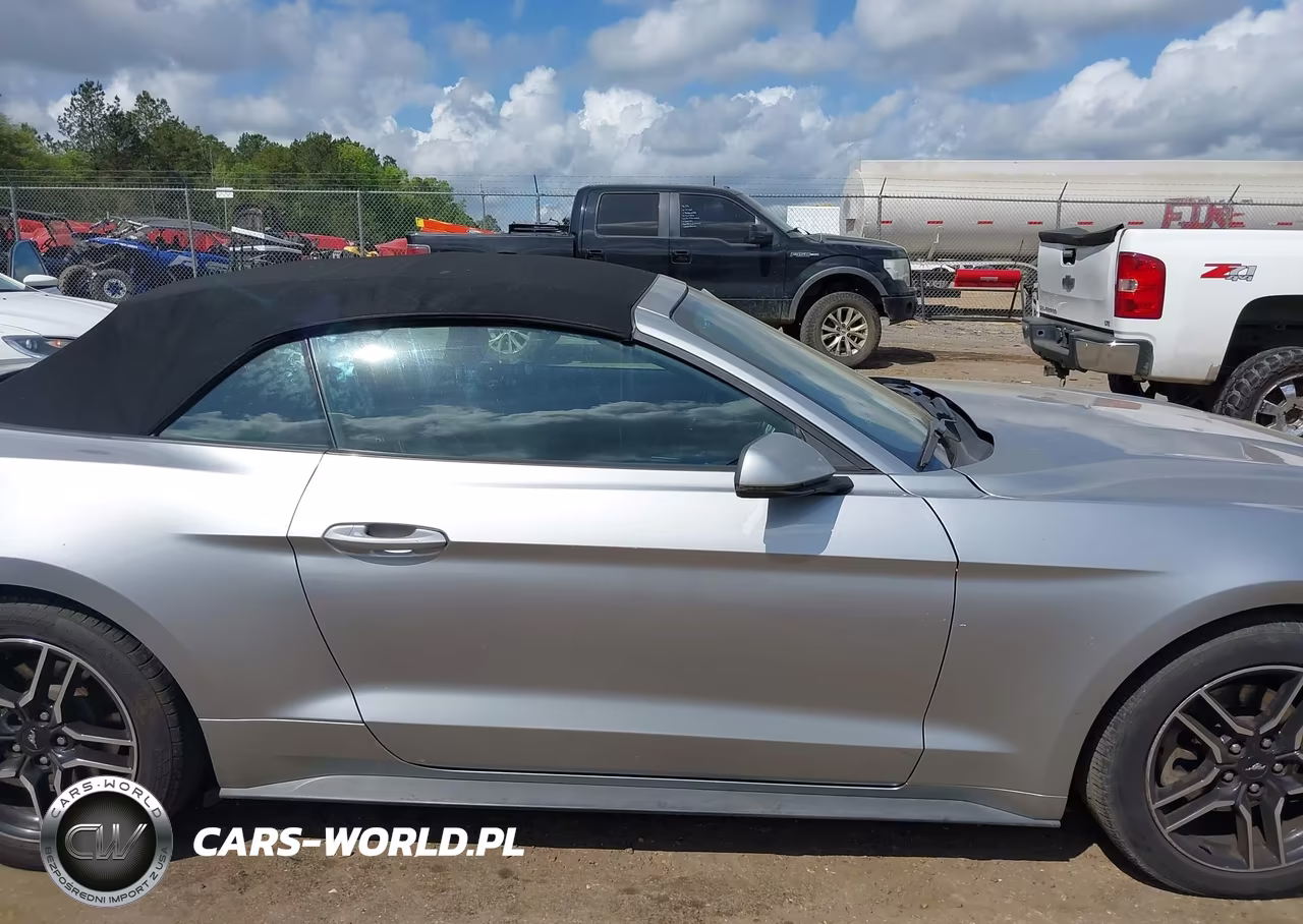 2020 Ford Mustang Ecoboost Premium VIN:1FATP8UH2L5125991 - 13