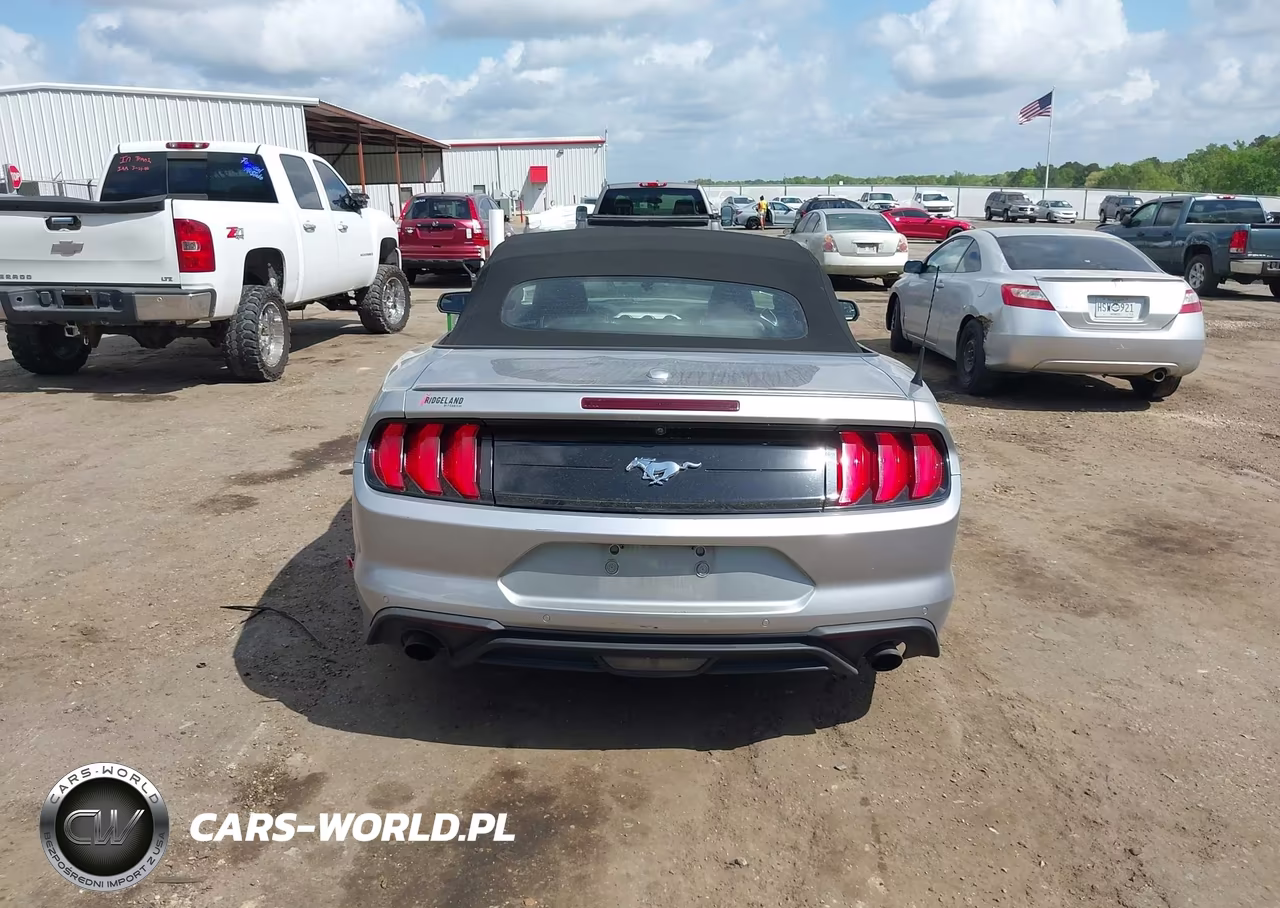 2020 Ford Mustang Ecoboost Premium VIN:1FATP8UH2L5125991 - 16
