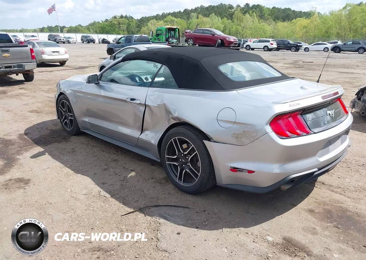 2020 Ford Mustang Ecoboost Premium VIN:1FATP8UH2L5125991 - 3