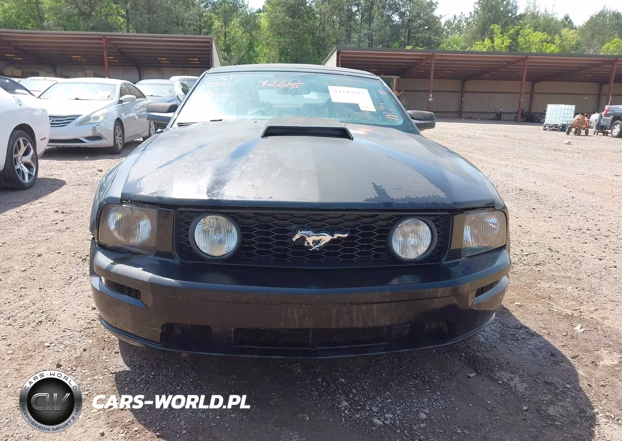 2005 Ford Mustang Gt VIN:1ZVFT85H955182836 - 12