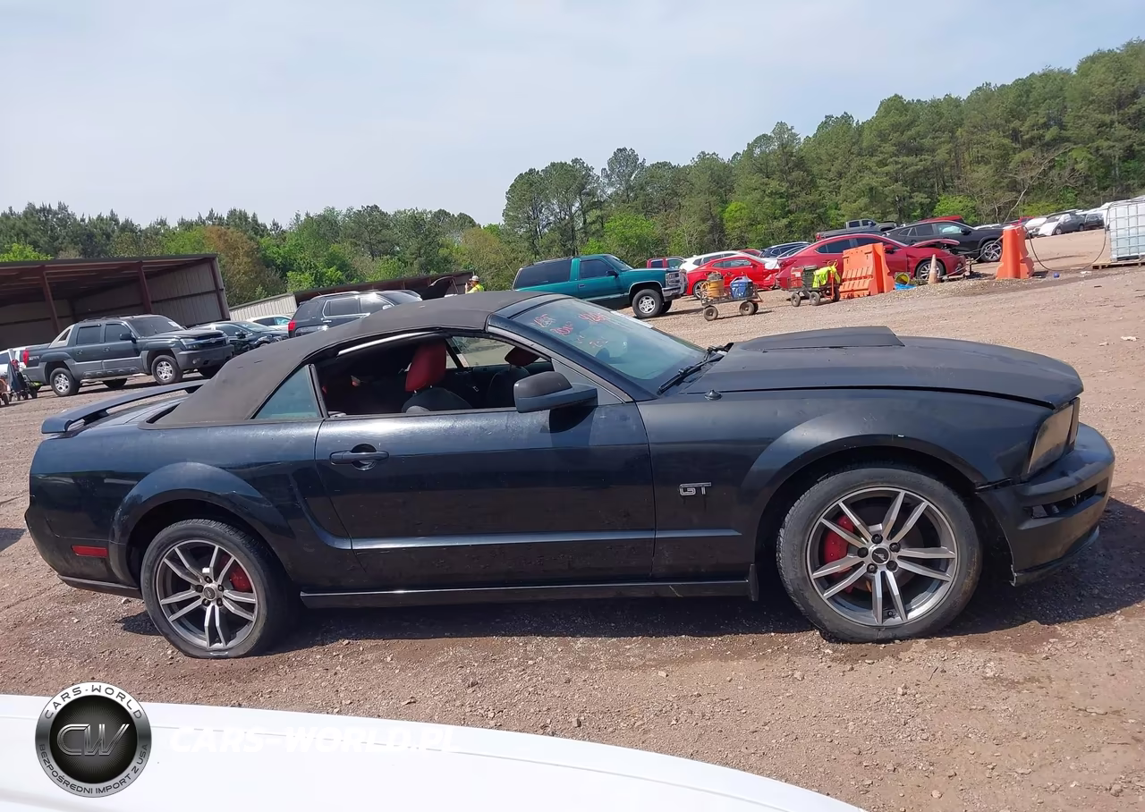 2005 Ford Mustang Gt VIN:1ZVFT85H955182836 - 13