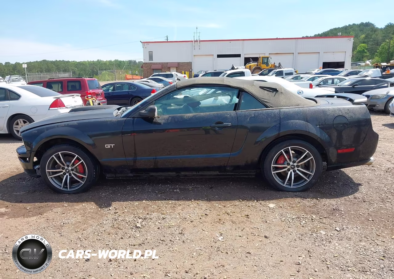 2005 Ford Mustang Gt VIN:1ZVFT85H955182836 - 14
