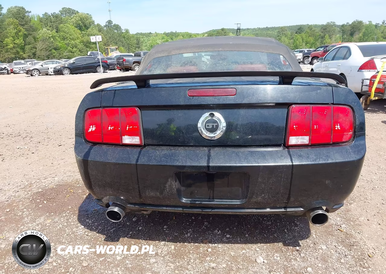 2005 Ford Mustang Gt VIN:1ZVFT85H955182836 - 16