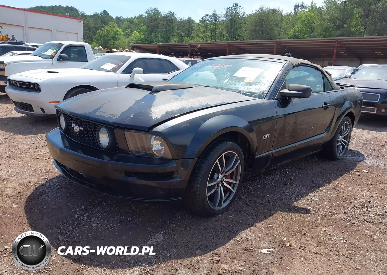 2005 Ford Mustang Gt VIN:1ZVFT85H955182836 - 2