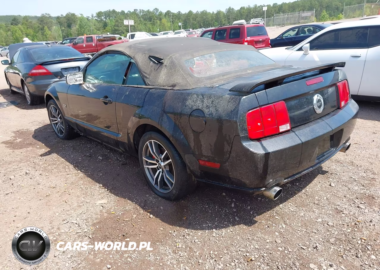 2005 Ford Mustang Gt VIN:1ZVFT85H955182836 - 3