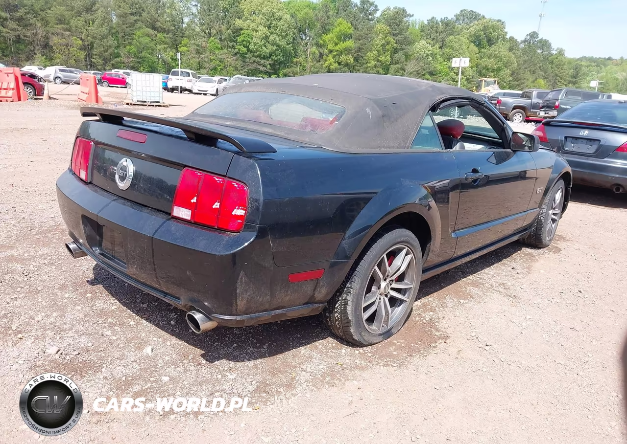 2005 Ford Mustang Gt VIN:1ZVFT85H955182836 - 4