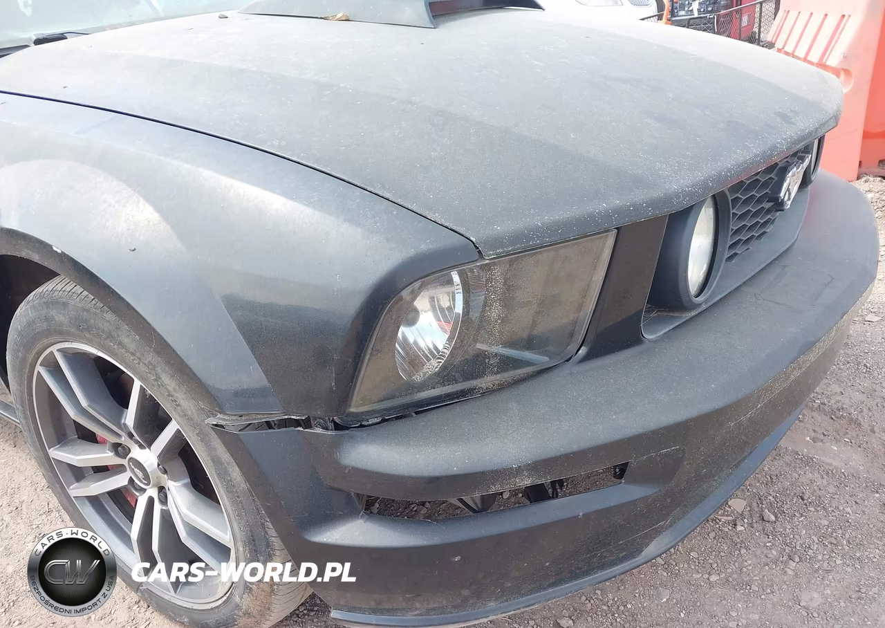 2005 Ford Mustang Gt VIN:1ZVFT85H955182836 - 6