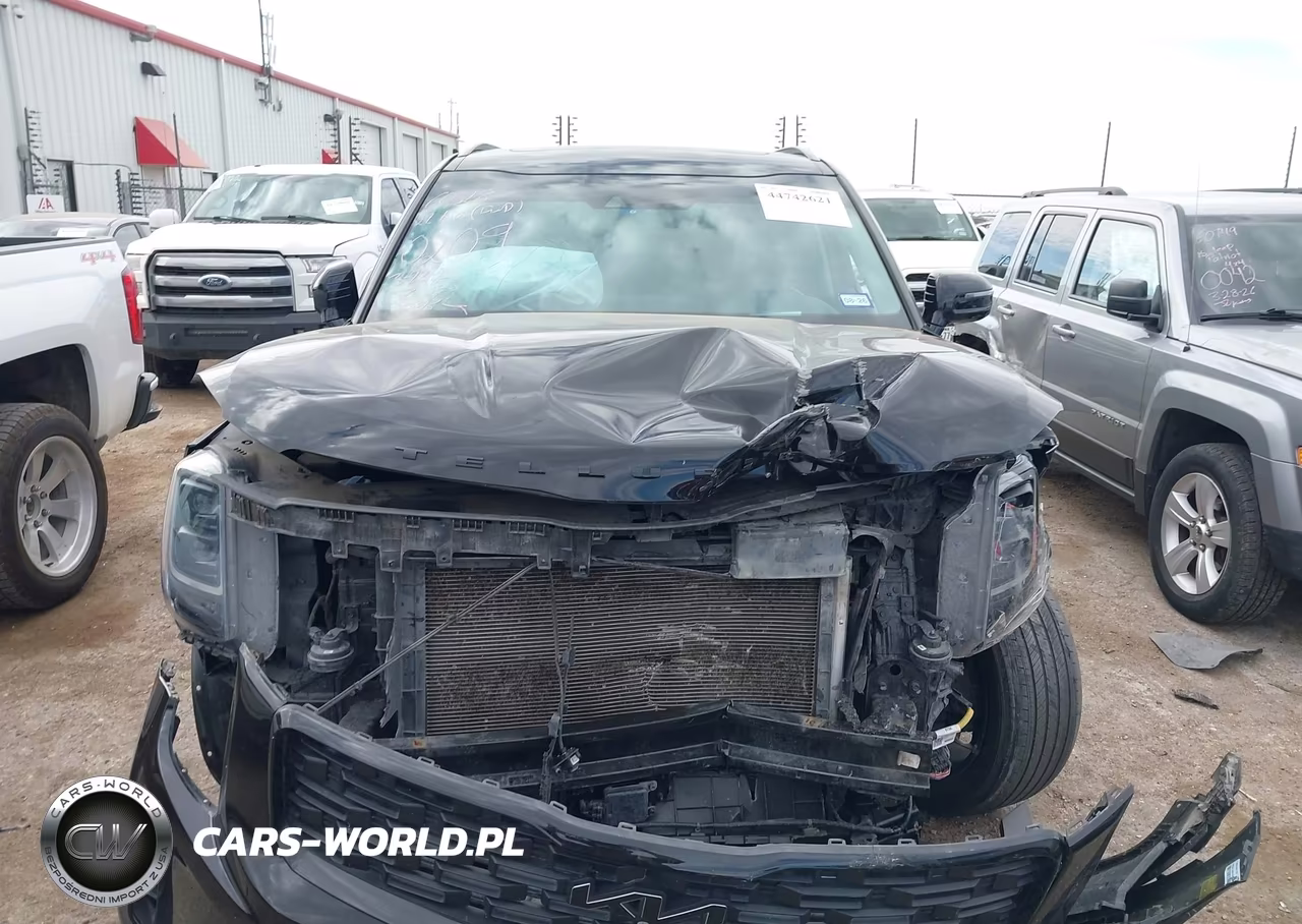 2022 Kia Telluride Sx VIN:5XYP5DHC4NG270209 - 11