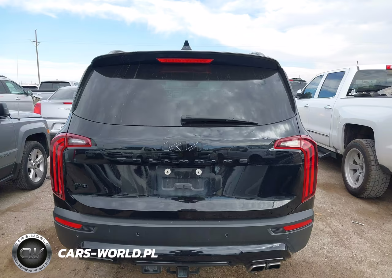 2022 Kia Telluride Sx VIN:5XYP5DHC4NG270209 - 15