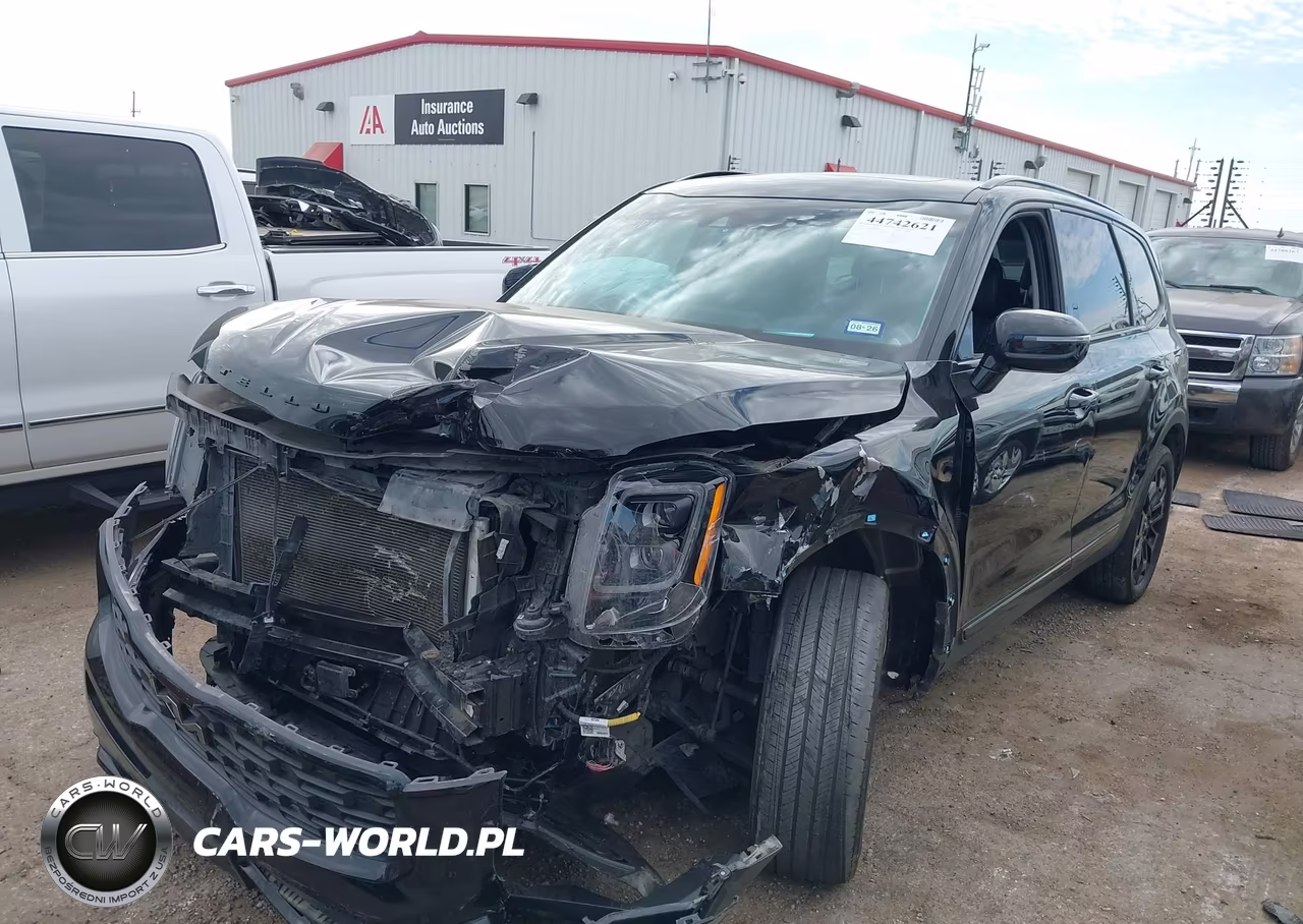 2022 Kia Telluride Sx VIN:5XYP5DHC4NG270209 - 2