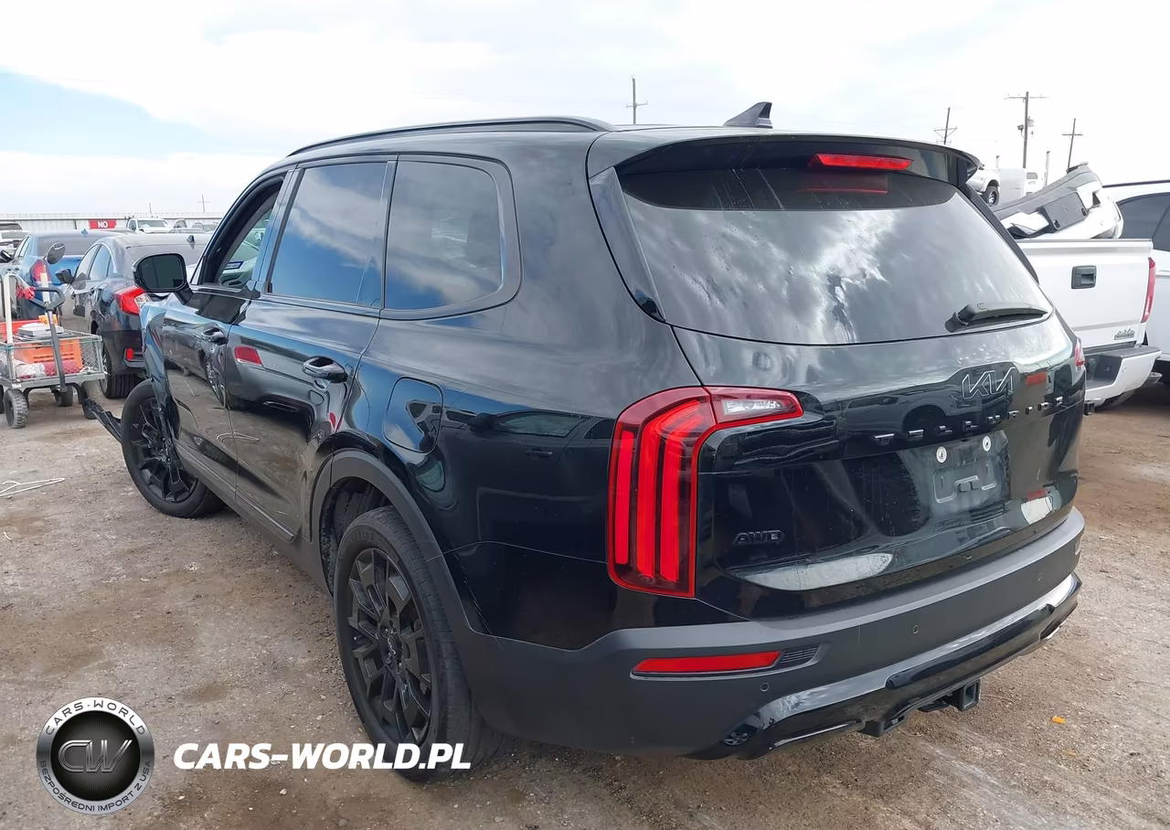 2022 Kia Telluride Sx VIN:5XYP5DHC4NG270209 - 3