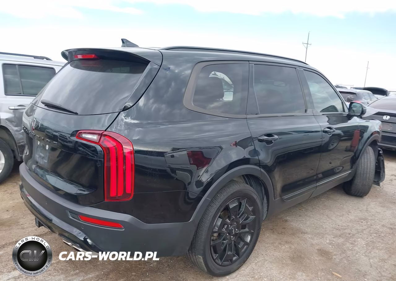 2022 Kia Telluride Sx VIN:5XYP5DHC4NG270209 - 4