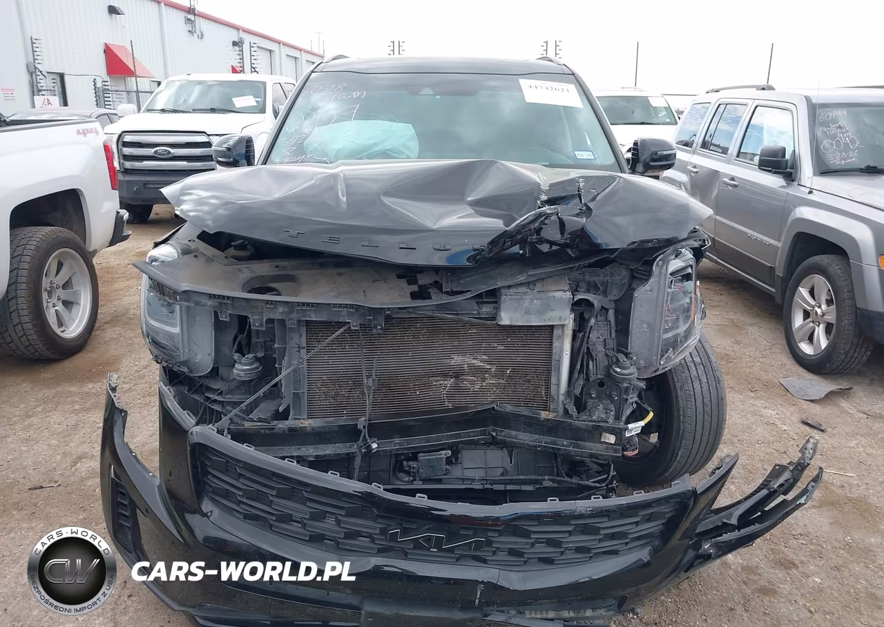 2022 Kia Telluride Sx VIN:5XYP5DHC4NG270209 - 6