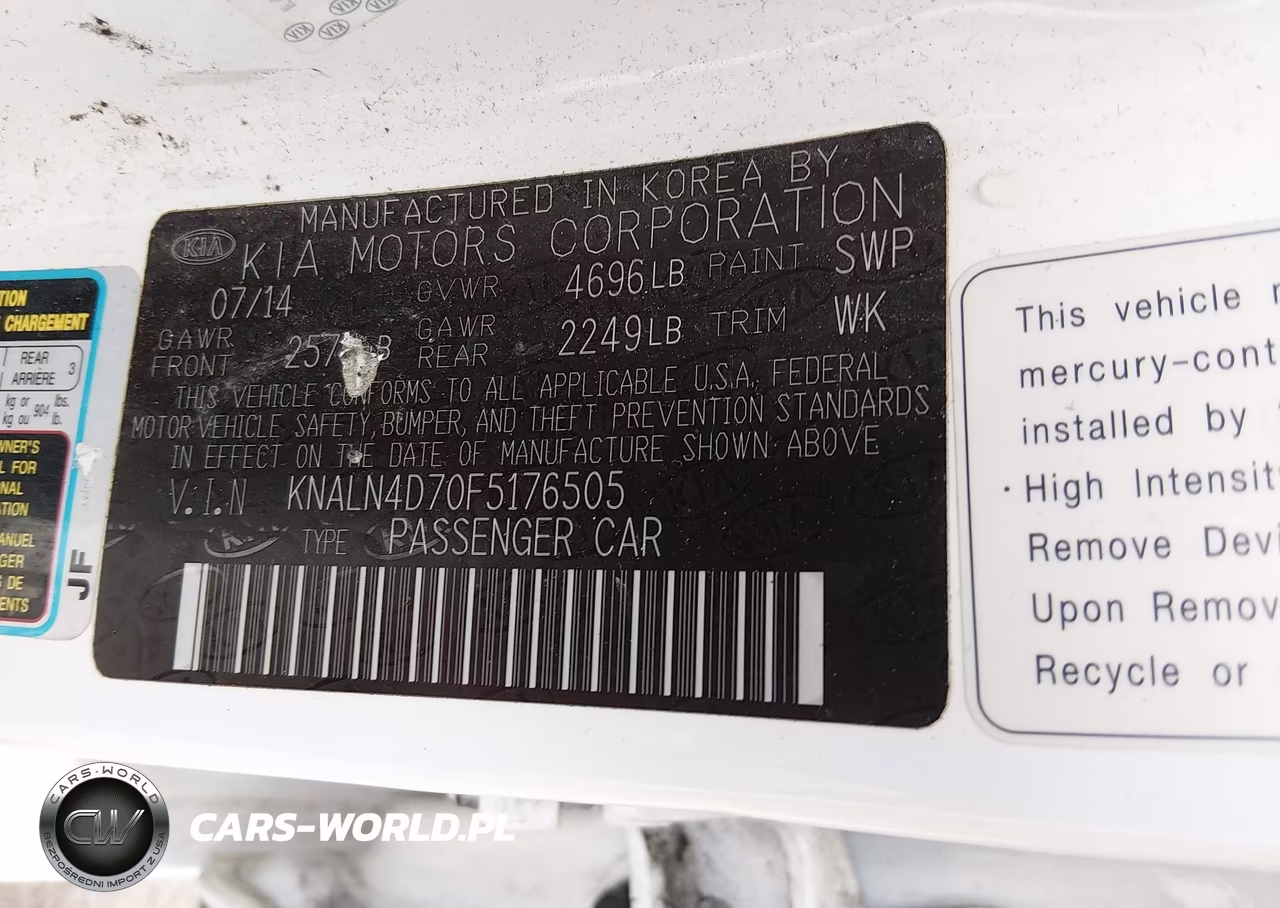 2015 Kia Cadenza Premium VIN:KNALN4D70F5176505 - 9
