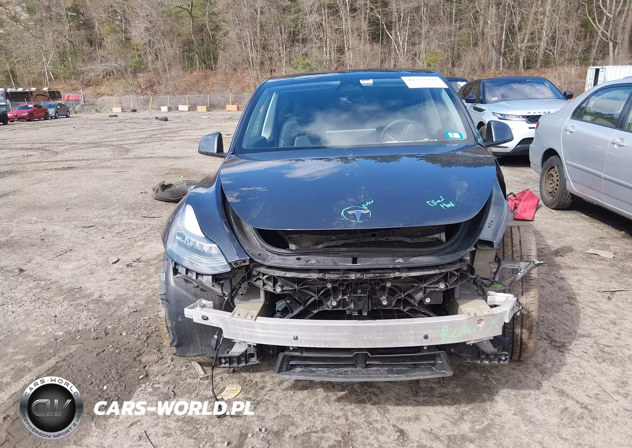 2021 Tesla Model Y Long Range Dual Motor All-Wheel Drive VIN:5YJYGDEE3MF184528 - 12