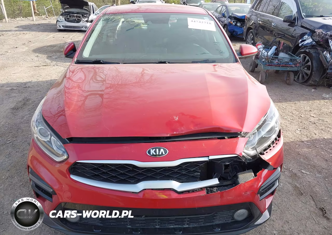 2019 Kia Forte Lxs VIN:3KPF24AD5KE122103 - 12