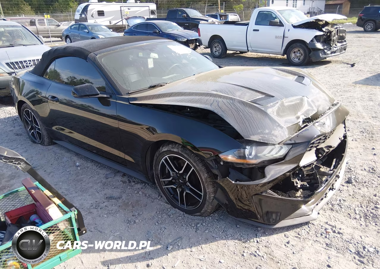 2019 Ford Mustang Ecoboost Premium – zdjęcie 1 z 16