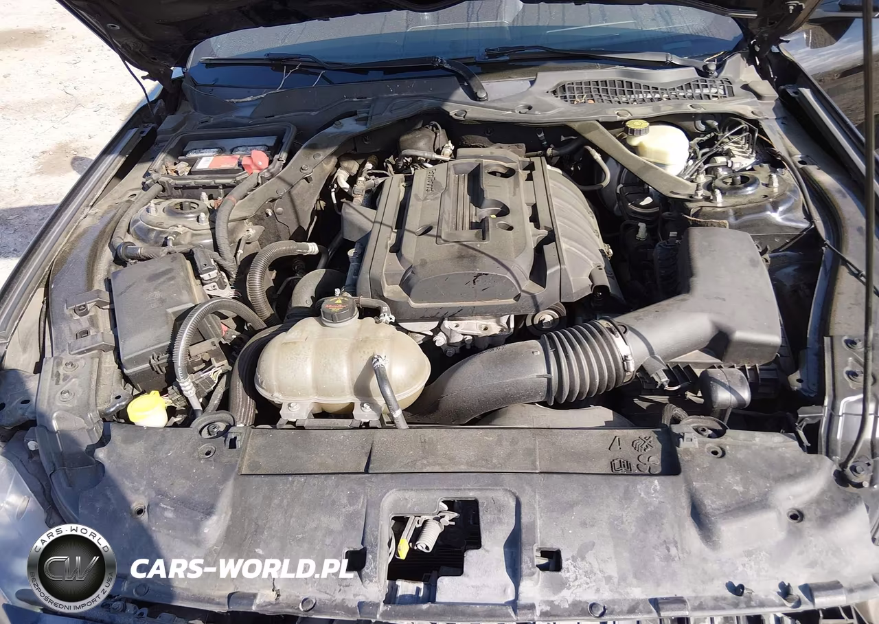 2019 Ford Mustang Ecoboost Premium VIN:1FATP8UH7K5158287 - 10