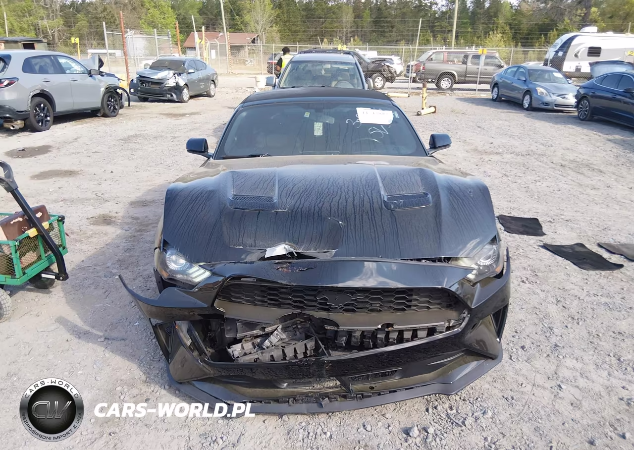2019 Ford Mustang Ecoboost Premium VIN:1FATP8UH7K5158287 - 12