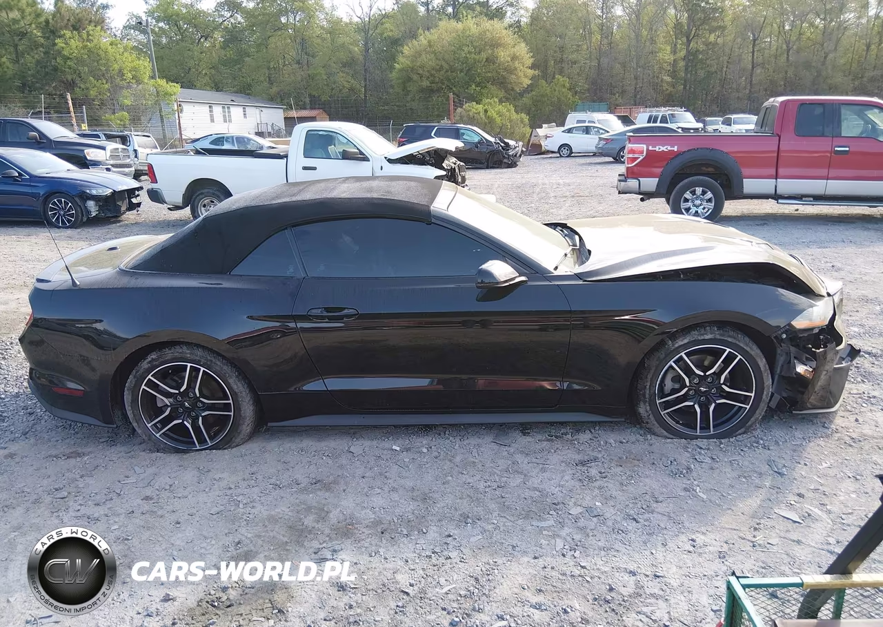2019 Ford Mustang Ecoboost Premium VIN:1FATP8UH7K5158287 - 13