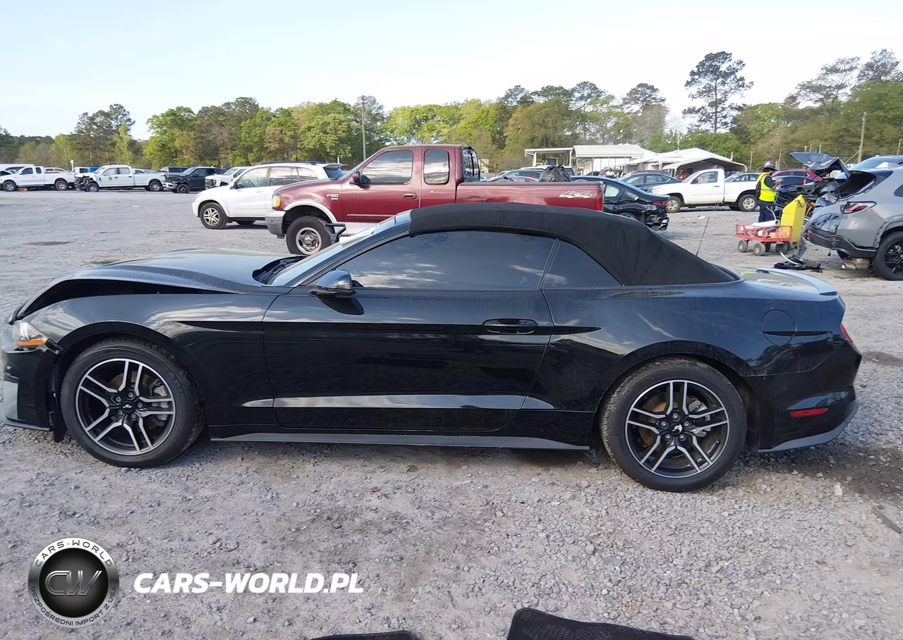 2019 Ford Mustang Ecoboost Premium VIN:1FATP8UH7K5158287 - 14