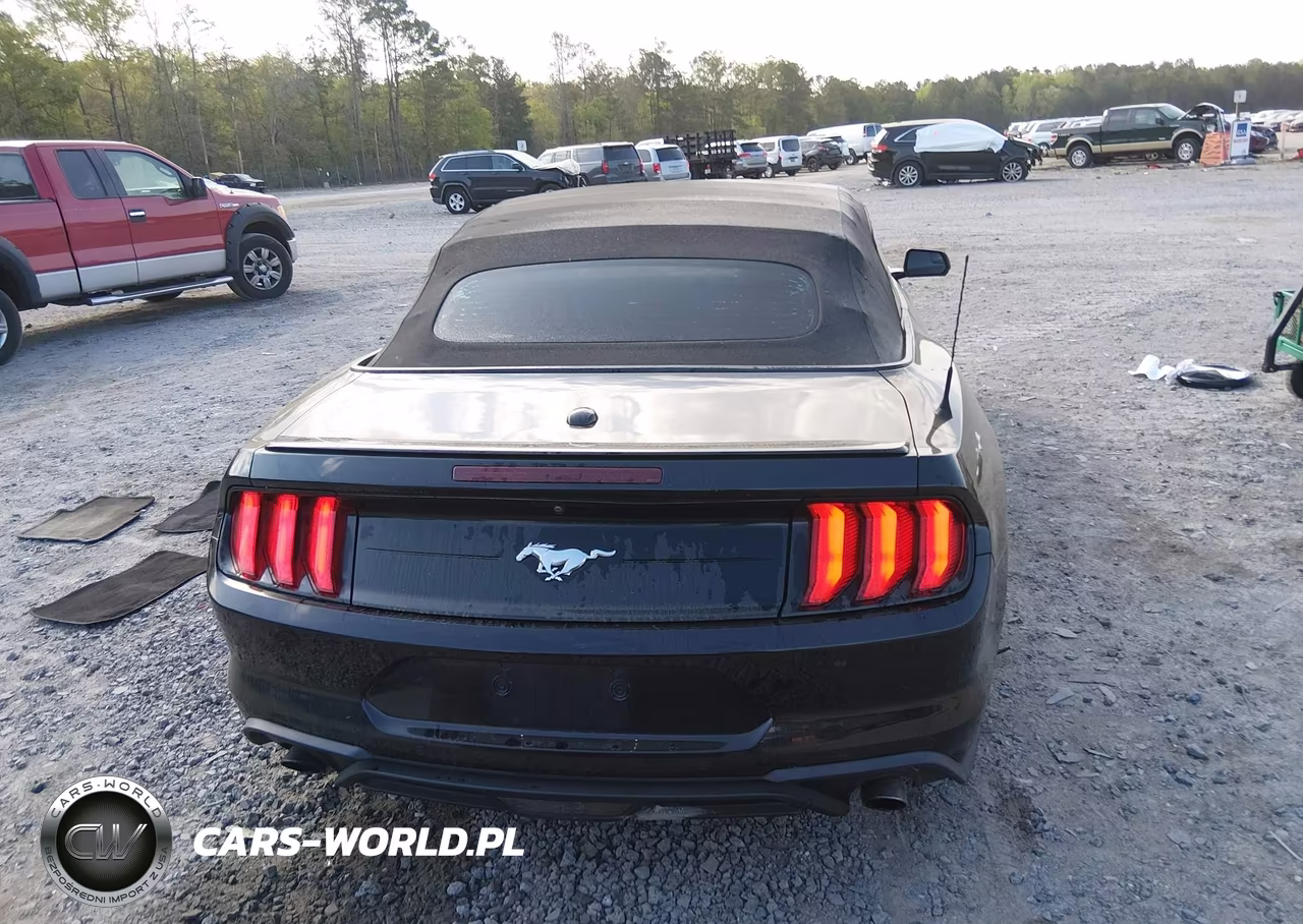 2019 Ford Mustang Ecoboost Premium VIN:1FATP8UH7K5158287 - 16
