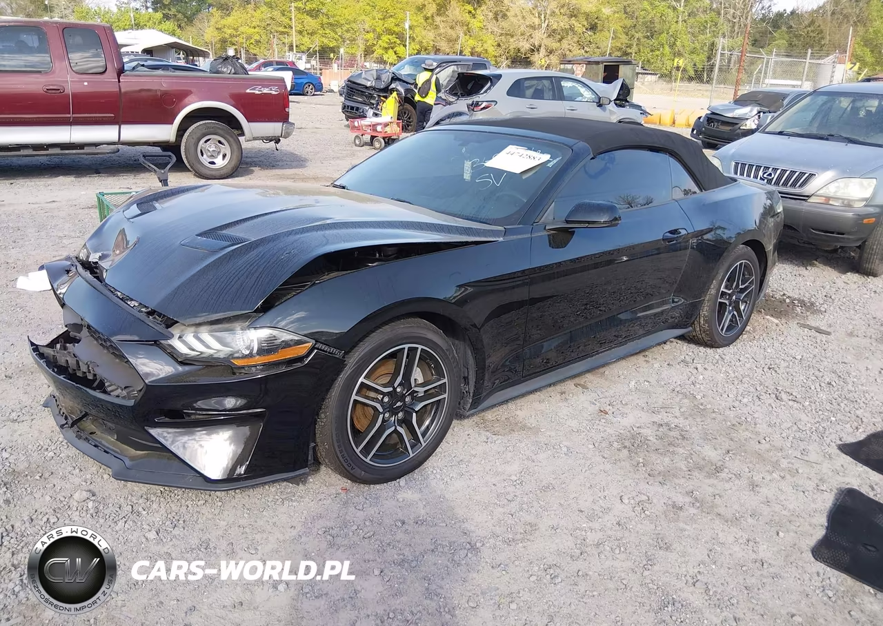 2019 Ford Mustang Ecoboost Premium VIN:1FATP8UH7K5158287 - 2