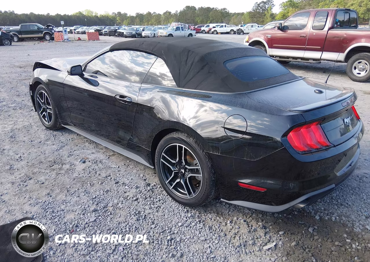 2019 Ford Mustang Ecoboost Premium VIN:1FATP8UH7K5158287 - 3